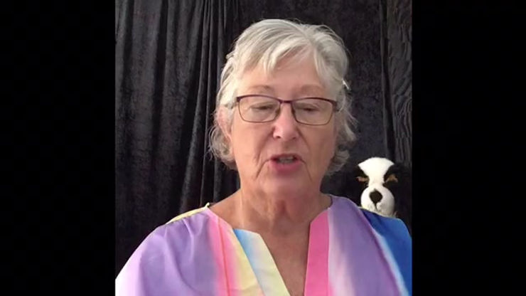 Owl and Koala Part two